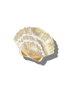  Solar Eclipse Hand-Painted Seashell Claw Hair Clip in Golden Sand