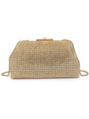 Urban Expressions Delfina Evening Bag in Gold