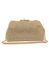 Urban Expressions Delfina Evening Bag in Gold
