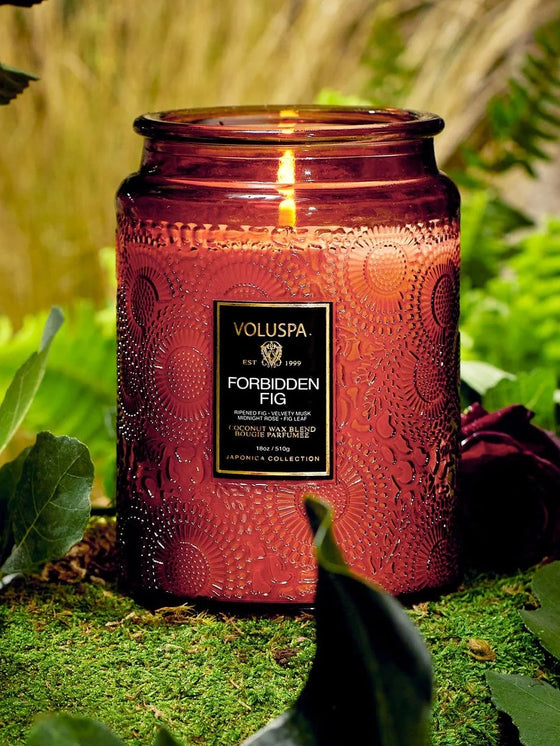 Voluspa Forbidden Fig Candle