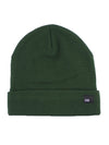 Dibi's Fleece Lined Beanie in Forest Green