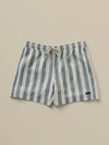 Faherty Brand All Day Trunk 6" Sage Awning Stripe