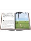 Palm Beach by Assouline Books